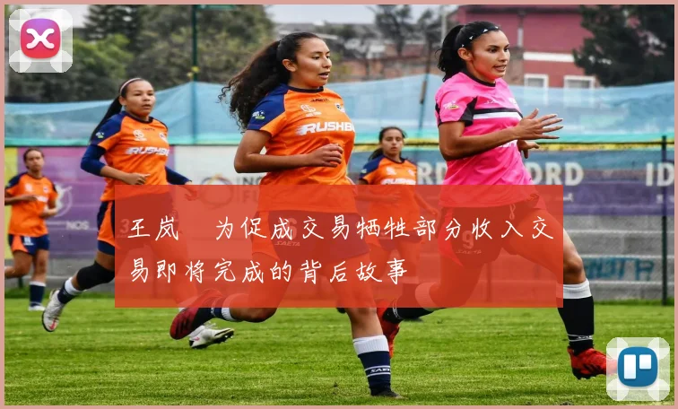 王岚嵚为促成交易牺牲部分收入交易即将完成的背后故事
