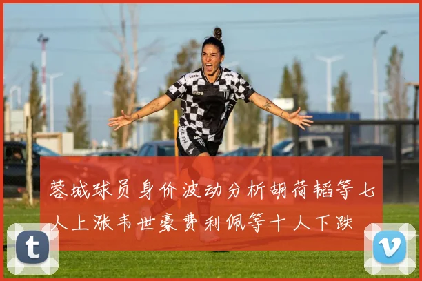 蓉城球员身价波动分析胡荷韬等七人上涨韦世豪费利佩等十人下跌
